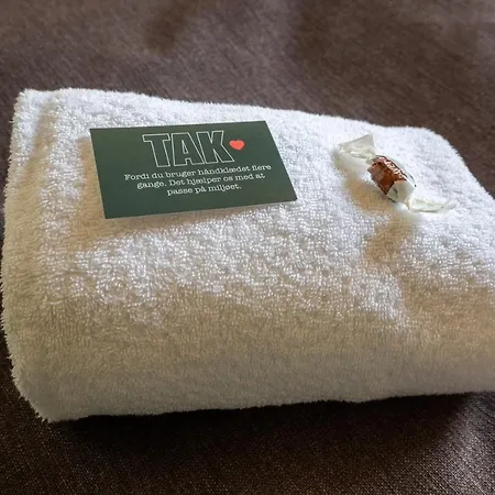 Severin Kursuscenter Og Konferencehotel 3*