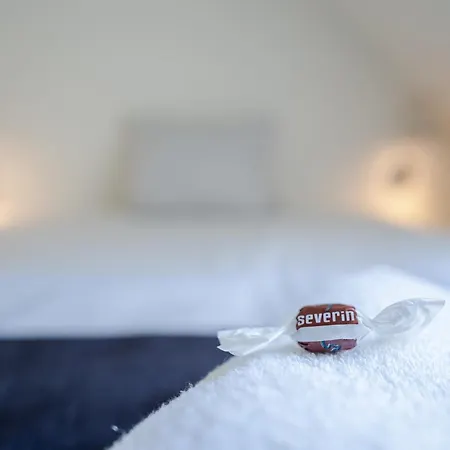 Severin Kursuscenter Og Konferencehotel ホテル
