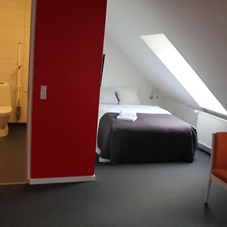 ホテル Severin Kursuscenter Og Konferencehotel 3*