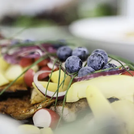 ホテル Severin Kursuscenter Og Konferencehotel ミゼルファート