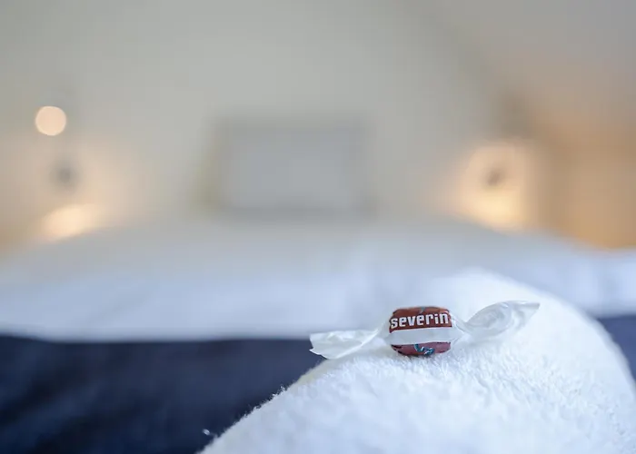 Severin Kursuscenter Og Konferencehotel Hotel